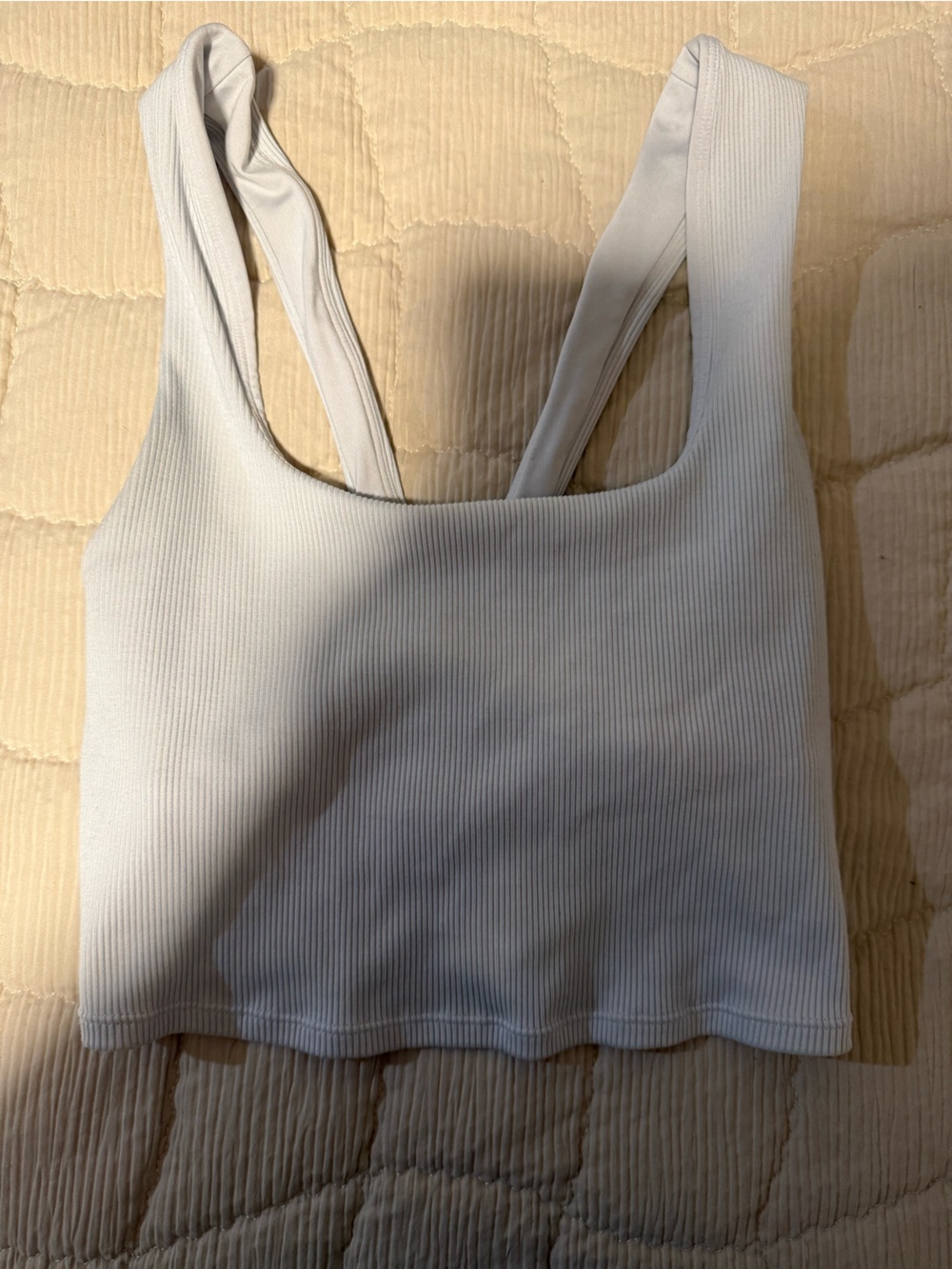 ALO Yoga Ribbed Crop Top in Light Gray